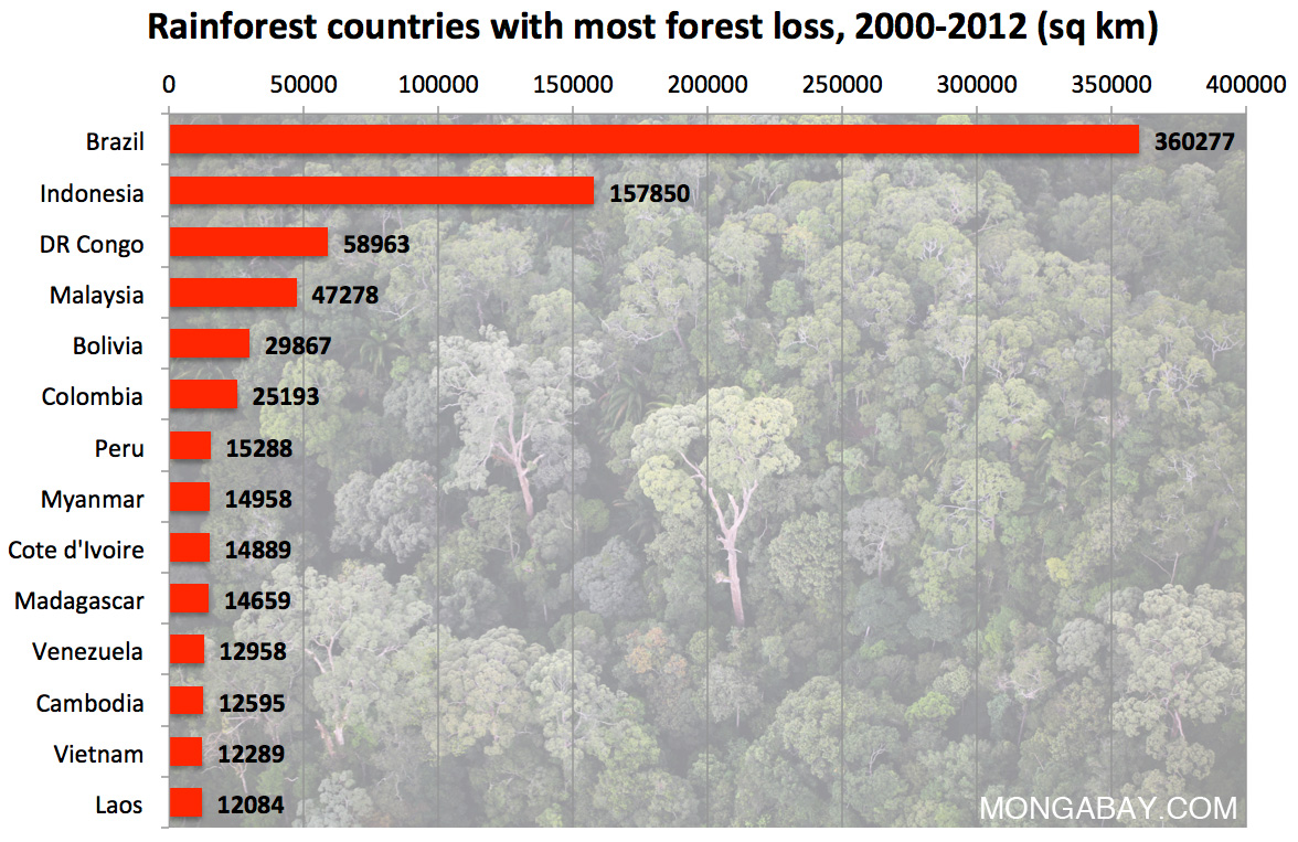rainforest-countries-with-most-deforestation.jpg