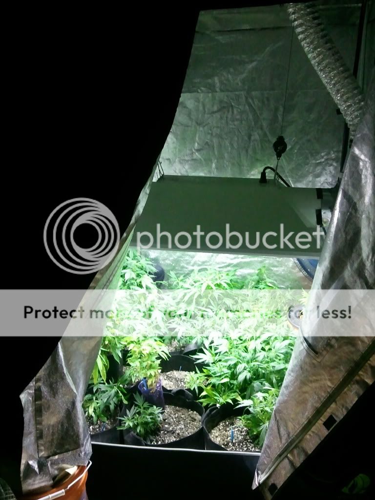 2011-02-23111651.jpg