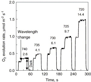 1-s2.0-S0005272805001192-gr1.jpg