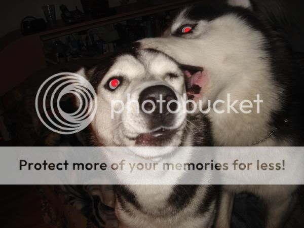 l_ac6819b066bc596bb917afb89e6ce4d5.jpg