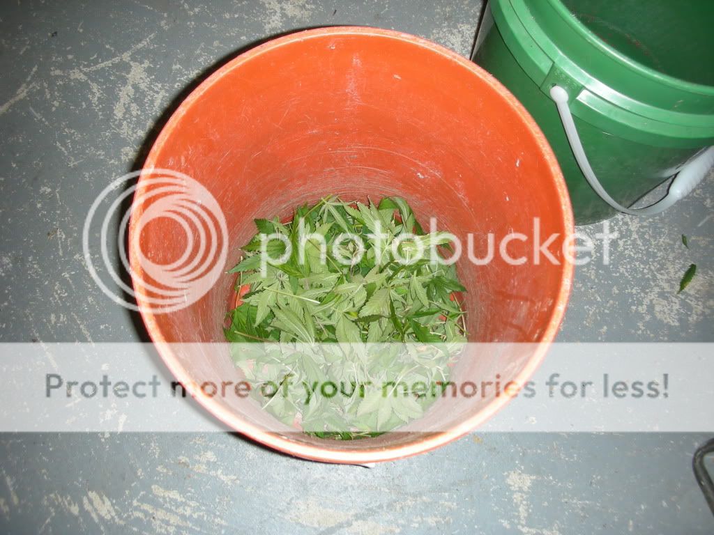 DSCN3814.jpg