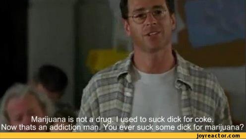 funny-pictures-stoner-humor-auto-408960.jpeg