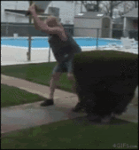 1306045377815.gif