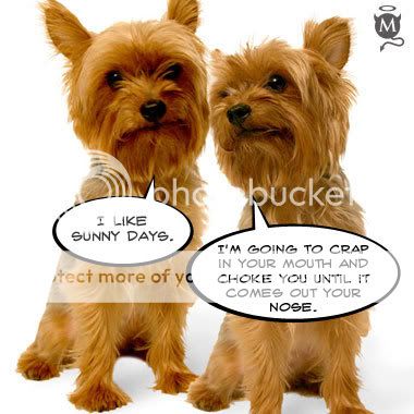 Happypuppies.jpg