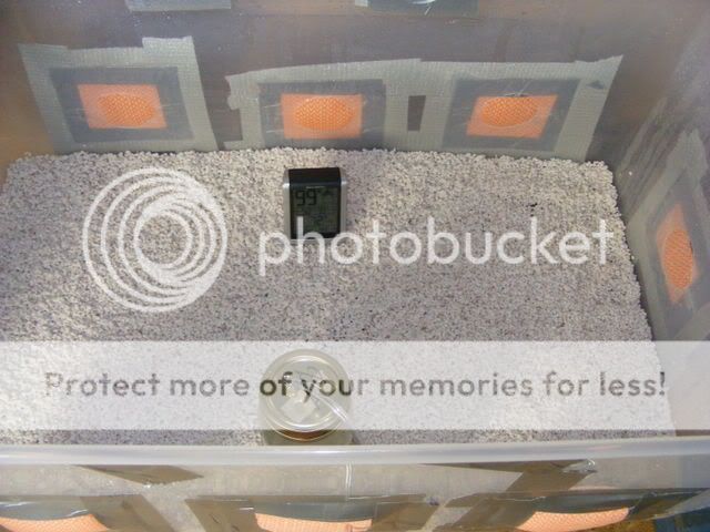 projects016-1.jpg