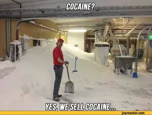 cocaine-sell-funny-805812.jpeg