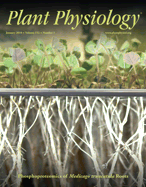 www.plantphysiol.org