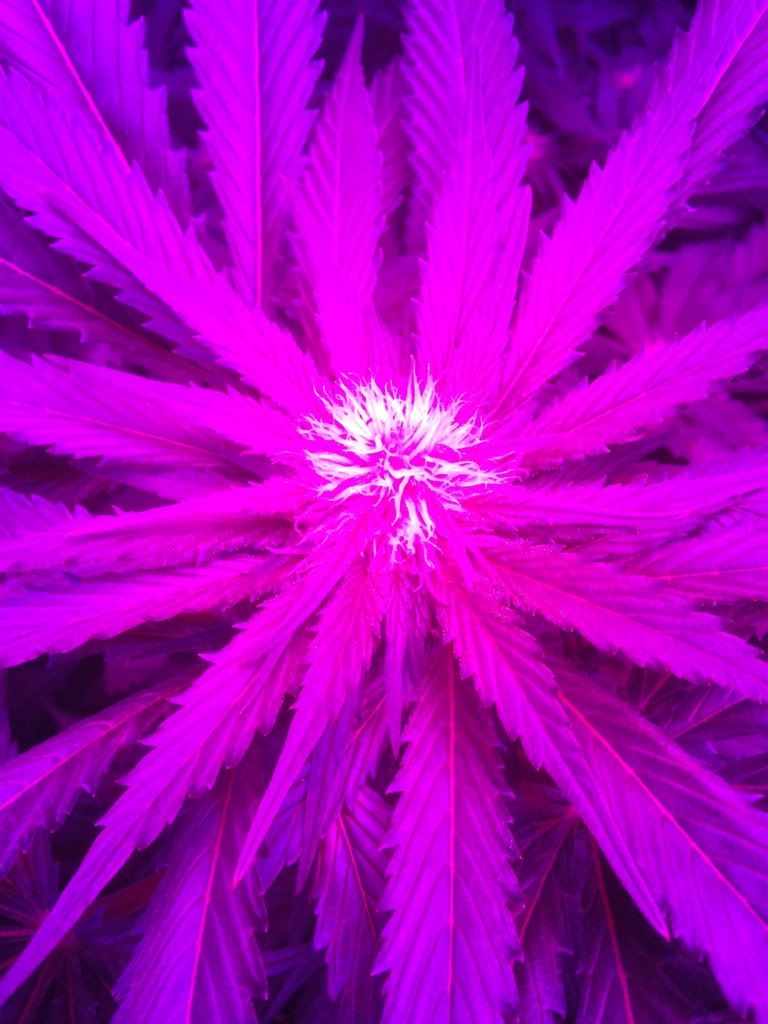 6a0e68d7.jpg