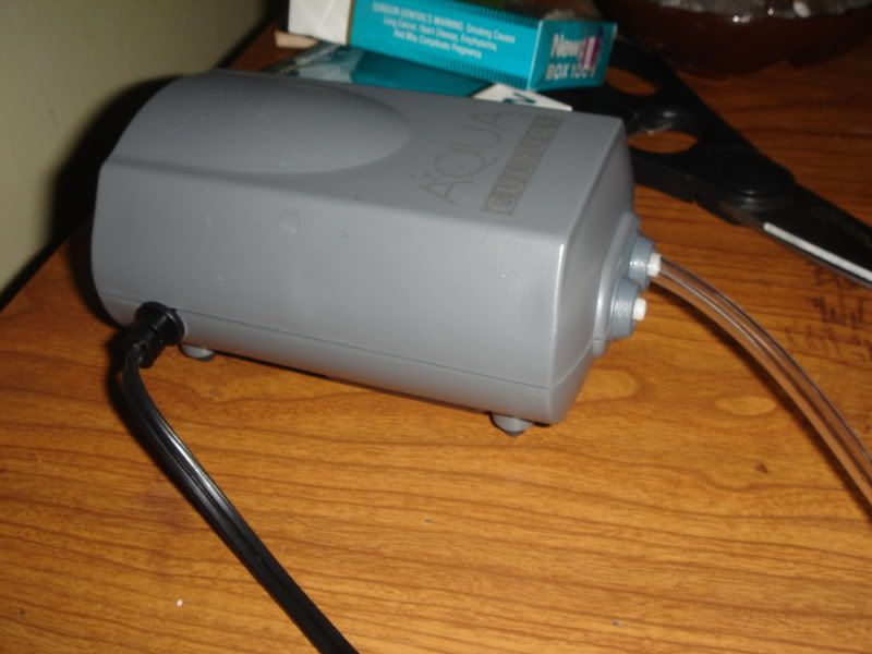 dro004.jpg