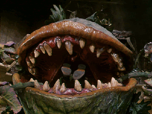 tumblr_nlc014IdLk1rzs31zo1_500.gif