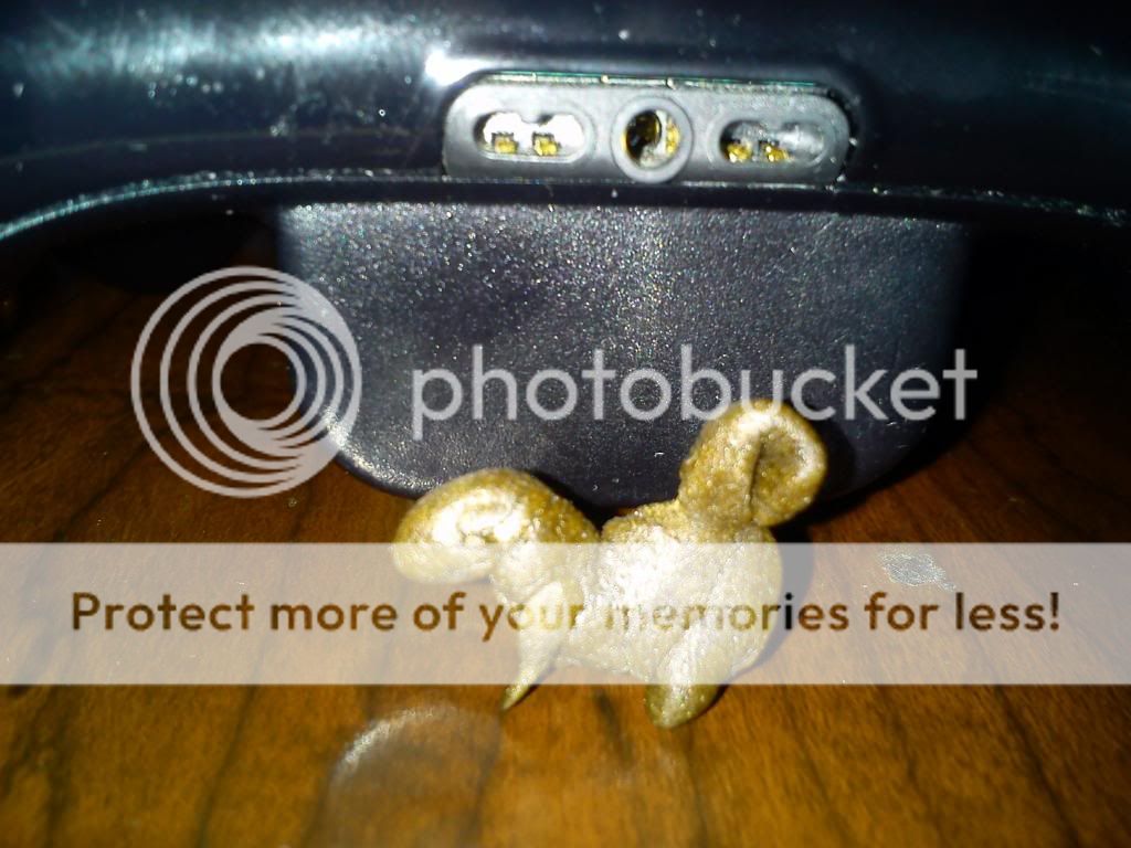 IMG_20130519_162205_zpsfda029d4.jpg