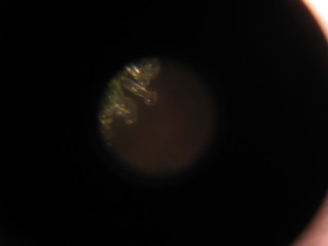 Picture006.jpg