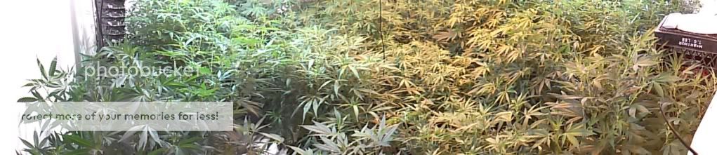 CAM00596_zps9eb4c6e1.jpg