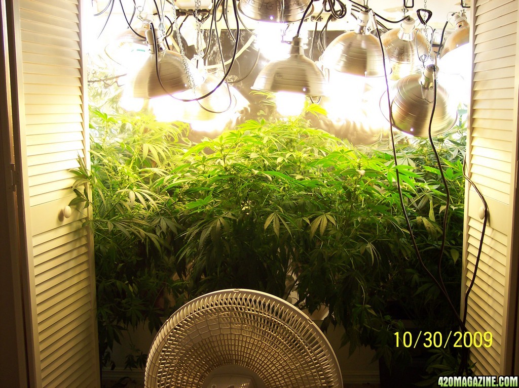 2009_Grow_00520.jpg