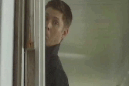 8t6lcal1qwcl.gif