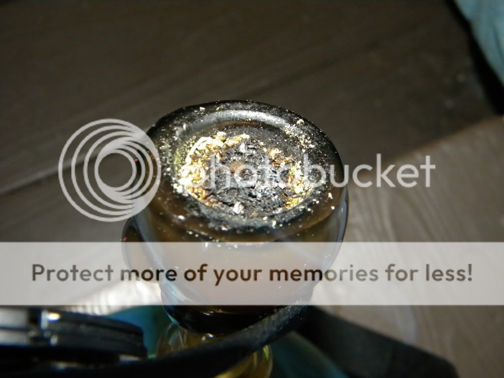 DSCN3198.jpg