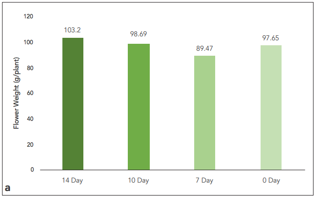 graph_a.png