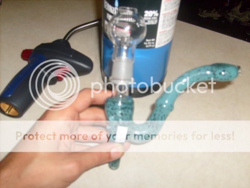 S7309584.jpg