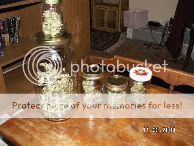 PICT0002.jpg