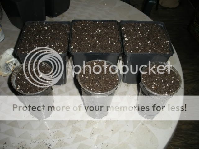 DSCN1553.jpg