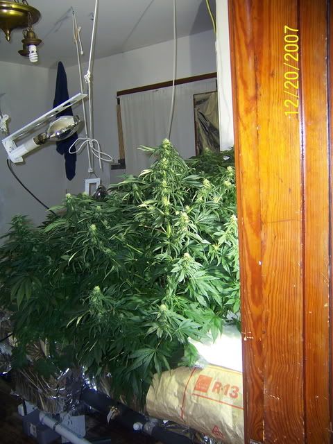 000_2138.jpg