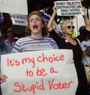 idiot-voters-republican-party.jpg