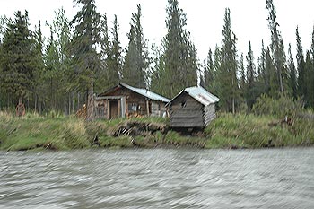 bush_houses.jpg