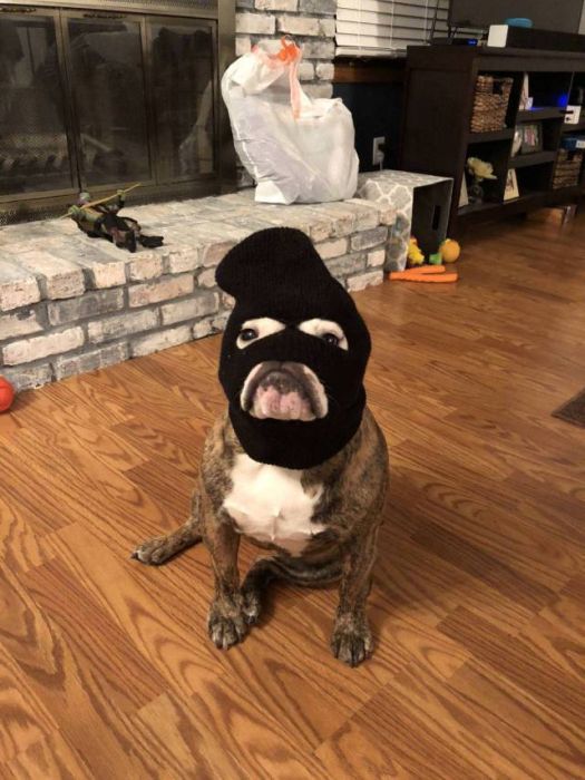 acid_picdump_95.jpg