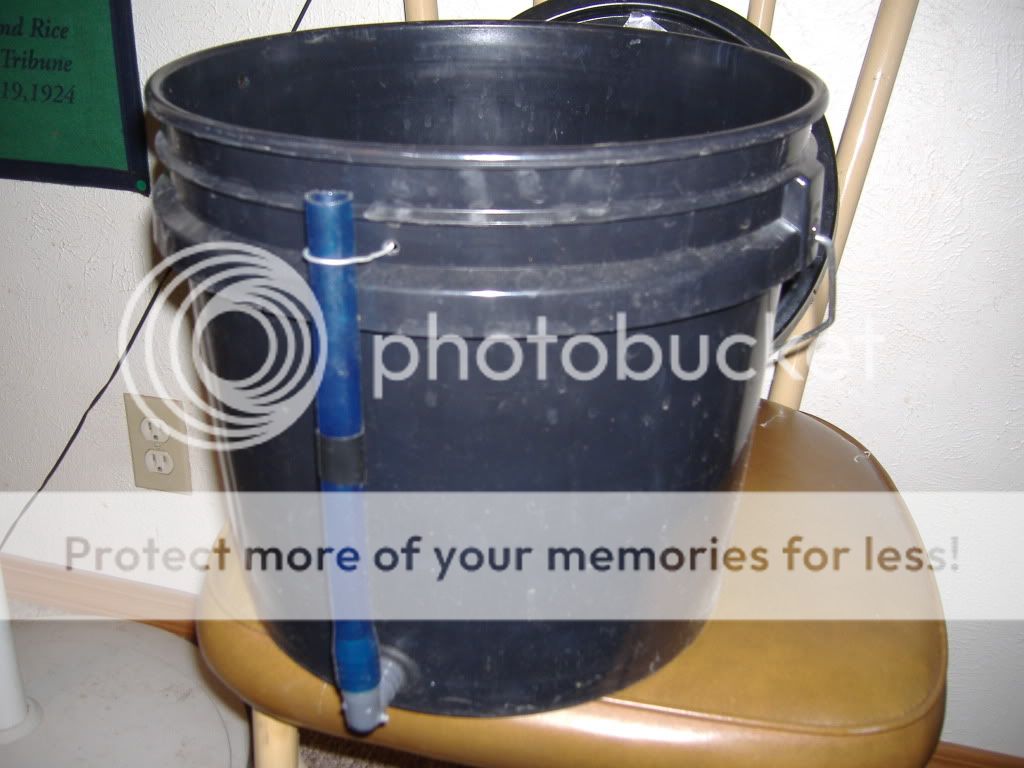 DSCF1873.jpg