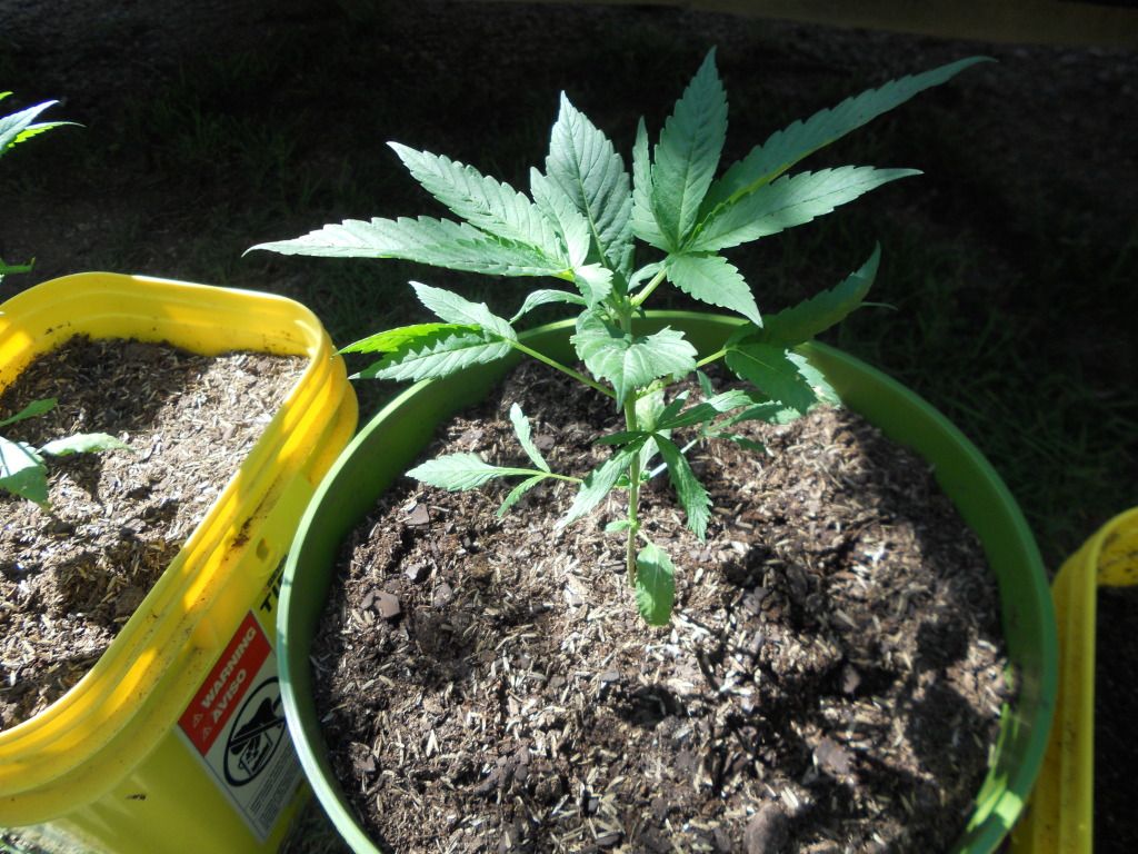 DSCN4572.jpg