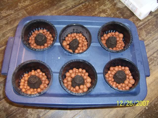 000_2153.jpg