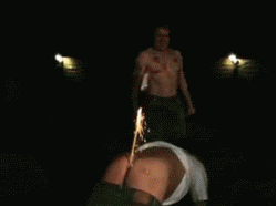 giphy.gif