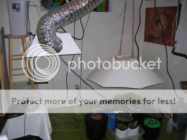 DSCN1060.jpg
