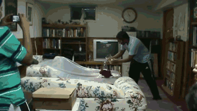 LS6Kive.gif
