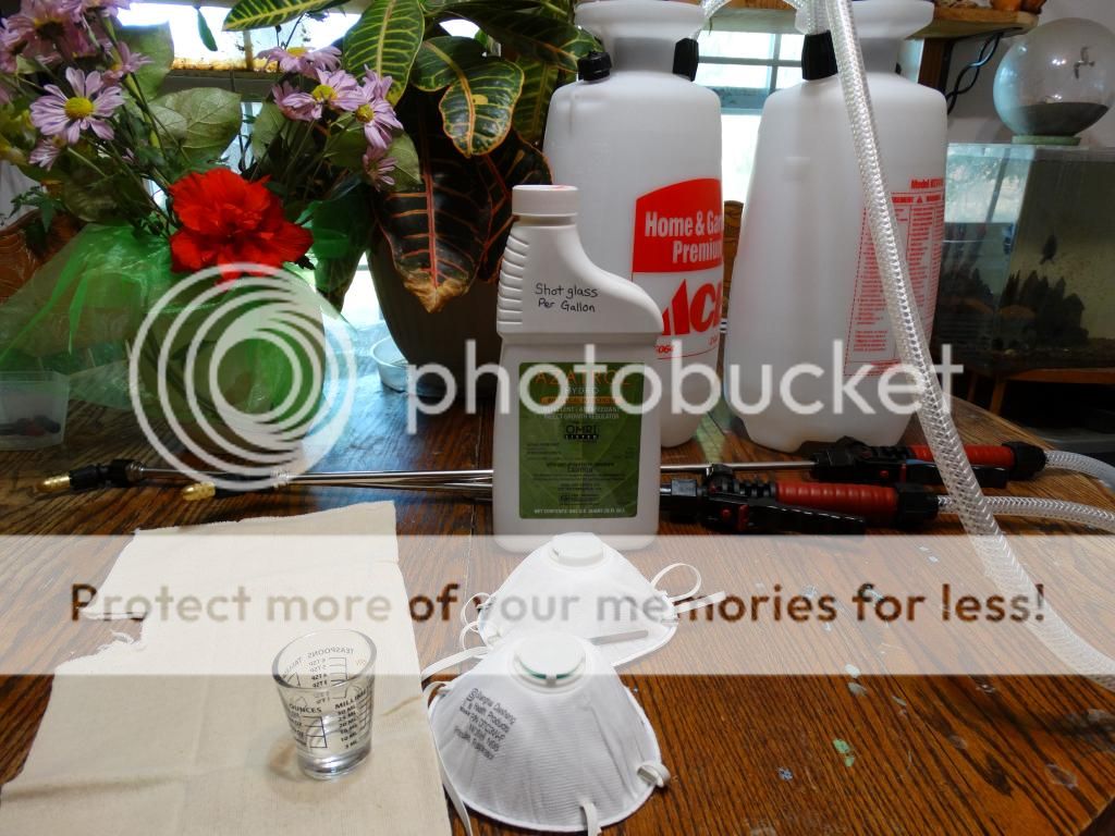 DSC07925_zps23d435bb.jpg