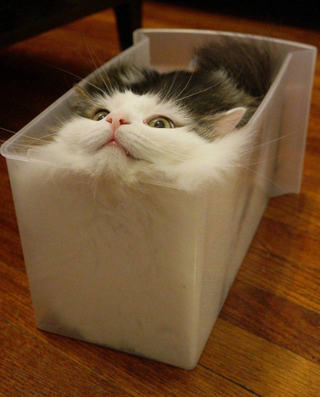 acid_picdump_75.jpg