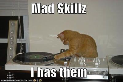 lolcat.jpg