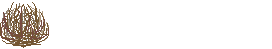 tumblr_lf3p1y5O091qbbwbf.gif