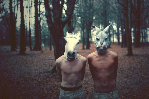 tumblr_lyy2biIze51qcst3xo1_500.jpg