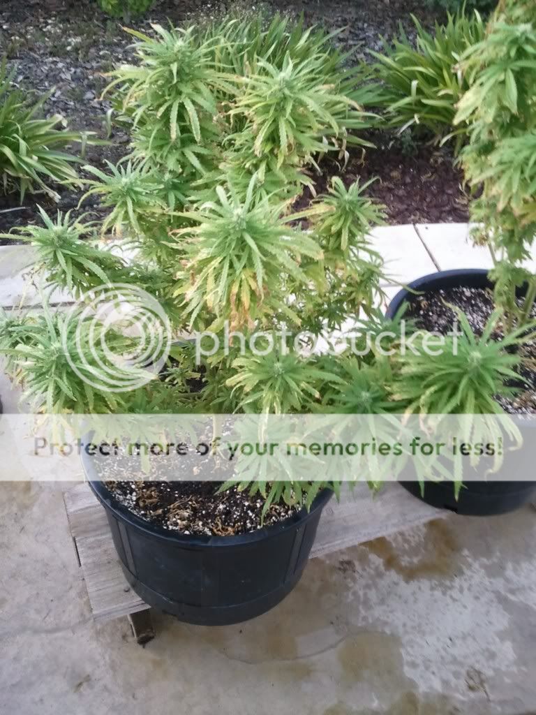 WP_000323.jpg