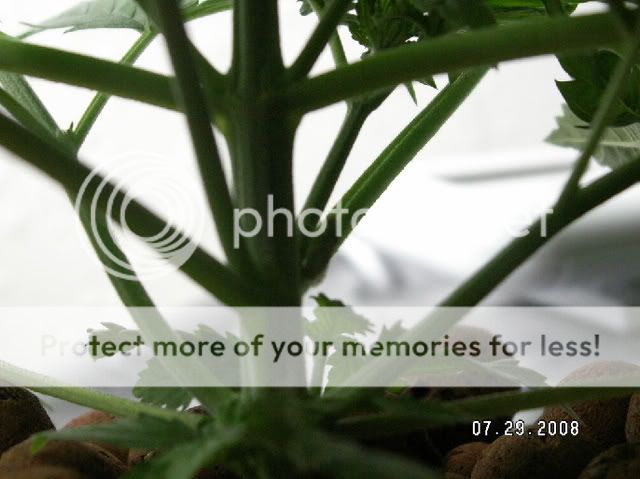PICT0152.jpg