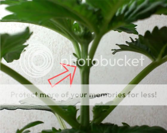 20111208071441.jpg