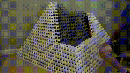 giphy.gif