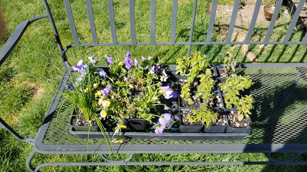 garden30c.jpg
