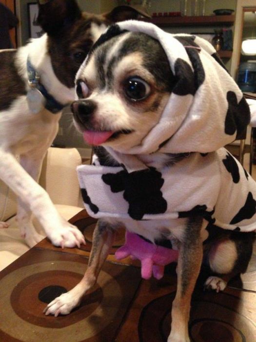 acid_picdump_45.jpg