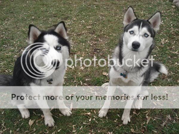 l_92b236b6d3b606d5c05dcc496cb68d-1.jpg