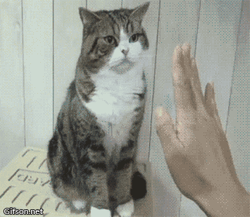 gifs_10.gif