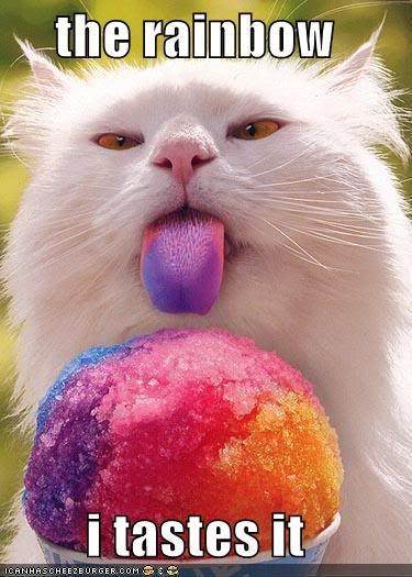 funny-pictures-snow-cone-cat-tastes.jpg