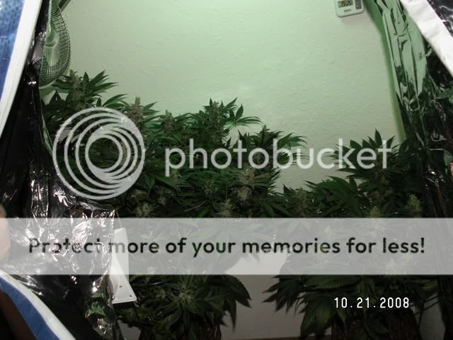 PICT0079.jpg