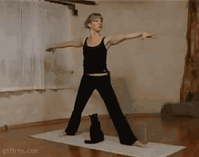 gifs_11.gif